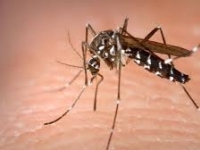 Otra mujer falleció por Dengue en nuestra ciudad