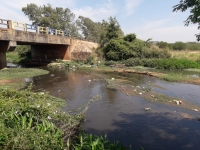 Arroyo totalmente contaminado, entre Luque y Capiata.