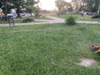 Oyente denuncia el descuido total de una plaza publica